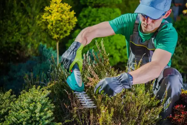landscaping services Simpson
